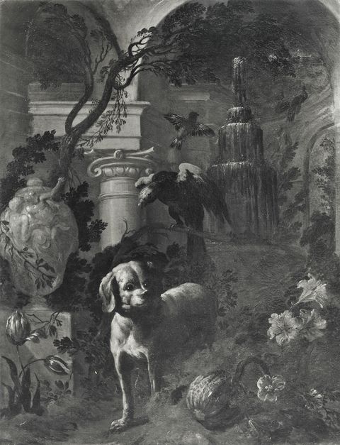 Anonimo — Anonimo toscano sec. XVII/ XVIII - Giardino con fiori, cane, pappagallo e fontana — insieme
